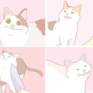 Meet your Posher, Krystine